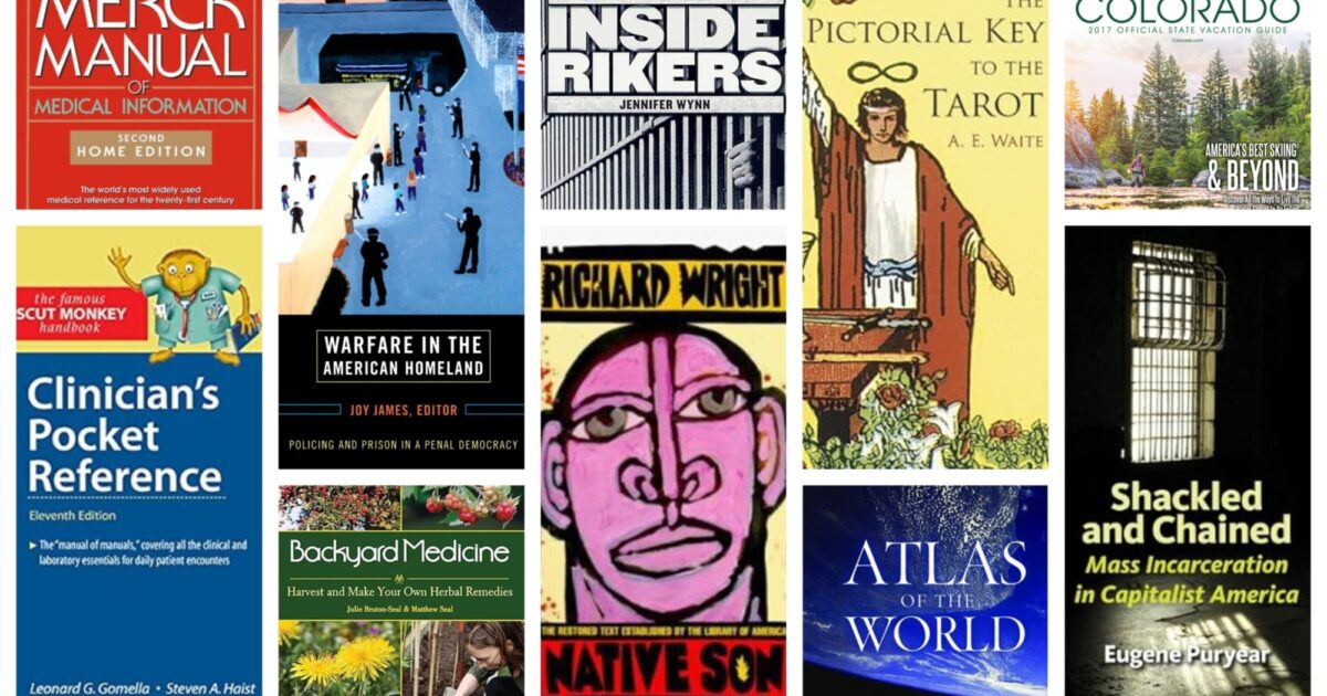 Native Son and Other Books Blocked in New York… | New York Focus